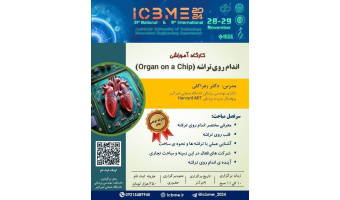 کارگاه های کنفرانس ملی و نهمین کنفرانس بین المللی مهندسی پزشکی ایران