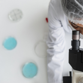 گروه جداسازی و پدیده های انتقال