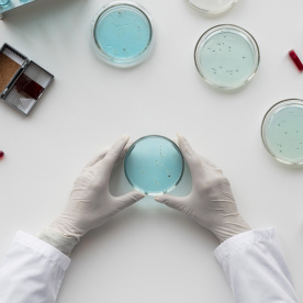 گروه بیوتکنولوژی، صنایع غذایی و داروسازی