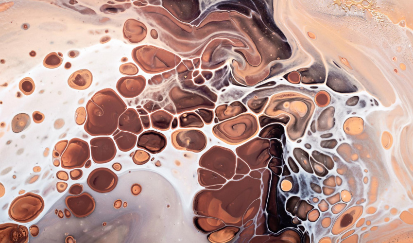 Fluid & Solid Interaction (FSI)