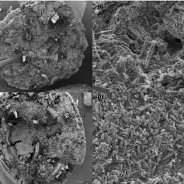 Materials Characterization