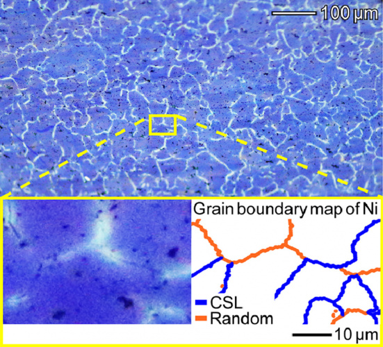 Filming the microscopic flow of hydrogen atoms in a metal