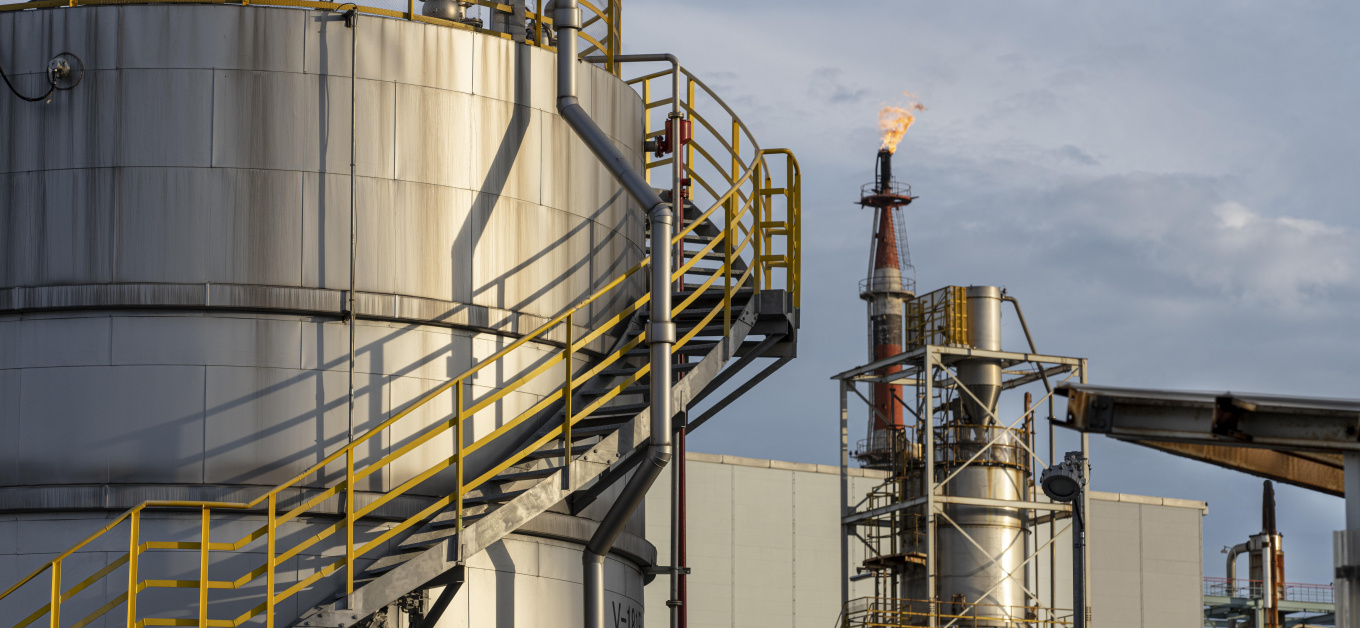 Petroleum And Gas Faculty	