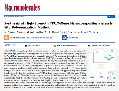 Publication of an article in the journal Macromolecules