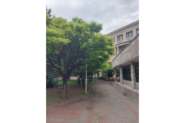 درباره معاونت