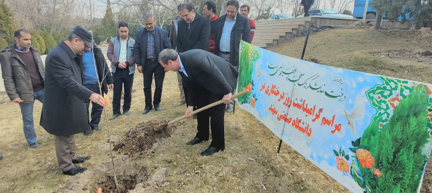 غرس  چندین اصله نهال در دانشگاه صنعتی سهند