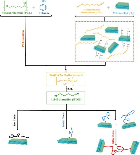 انتشار مقاله پژوهشگران دانشگاه صنعتی سهند در نشریه Macromolecules